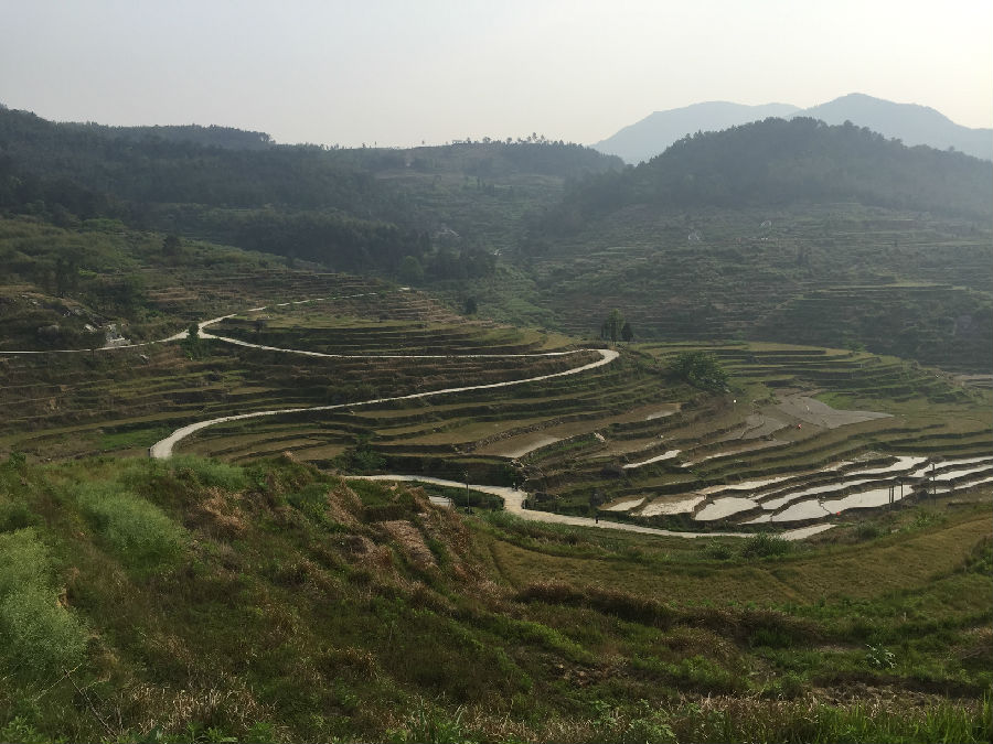 梯田.JPG